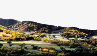 坝上美丽秋景免抠