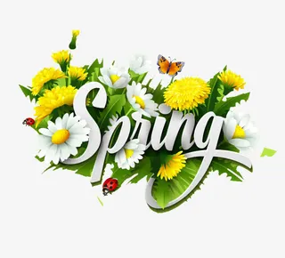 春天花开素材免抠