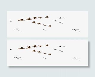 中国风背景素材