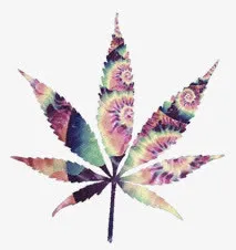 树叶免抠