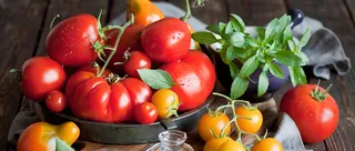 西红柿背景高清