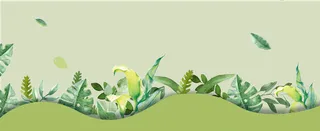 春天文艺小清新几何绿banner高清