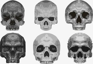 矢量图几块头骨免抠