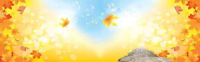 秋季秋装金色背景banner高清