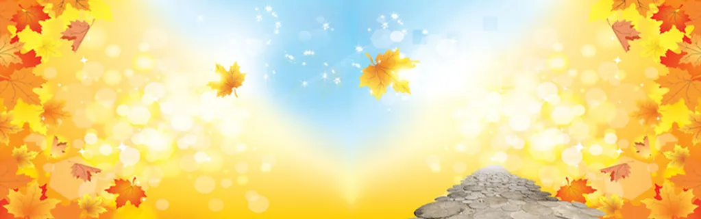 秋季秋装金色背景banner高清