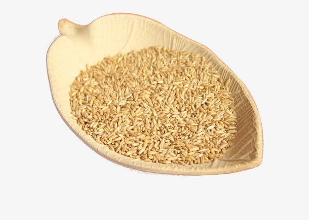 一叶小麦免抠