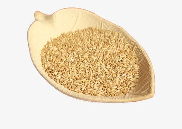一叶小麦免抠