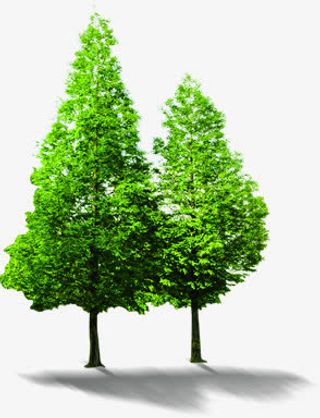 手绘树木海报植物夏日免抠