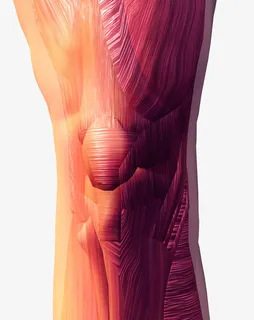 膝盖关节扭伤免抠