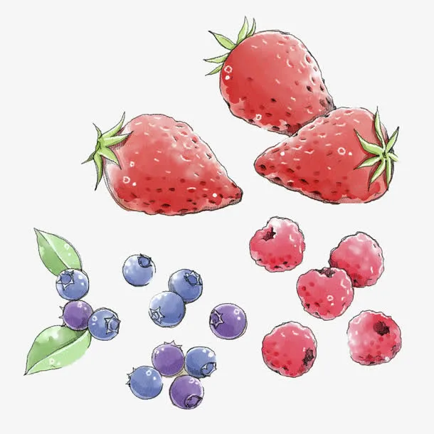 手绘草莓蓝莓免抠