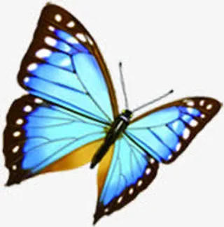 蓝色卡通创意蝴蝶春天免抠装饰动物元素