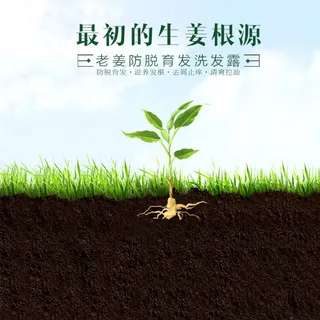 创意生姜洗发水主图高清