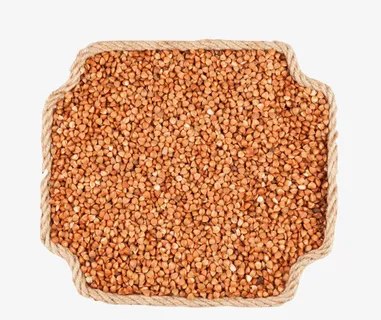 绳子围起来的苦荞麦免抠