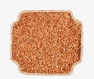 绳子围起来的苦荞麦免抠