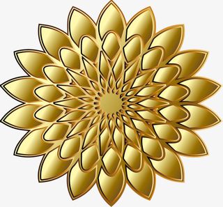 金色大气花朵免抠