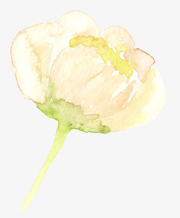 水粉手绘花卉免抠