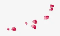 花瓣主题温泉图片免抠