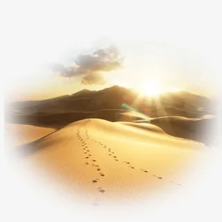 沙漠艺术照免抠