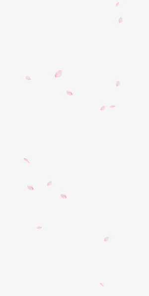 粉色花瓣漂浮素材免抠