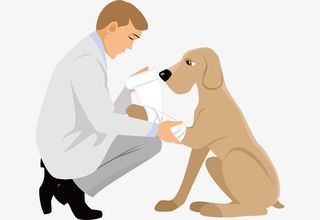 受伤的狗狗卡通素材免抠