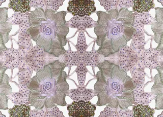 古典花纹素材纹理图片免抠