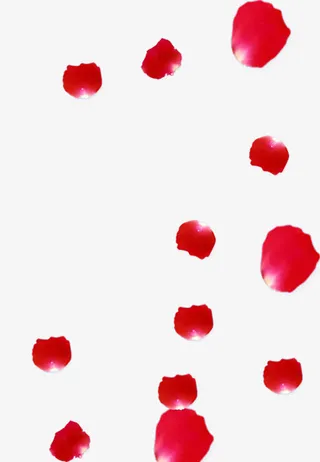 情人节七夕节三八节妇女节花瓣免抠