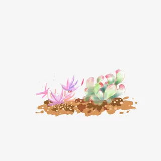 小清新多肉装饰元素免抠