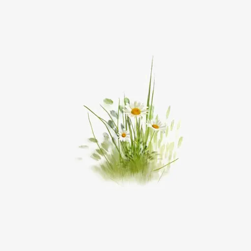 绿色草地免抠