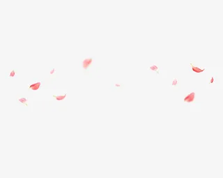 粉红色飘落花瓣免抠