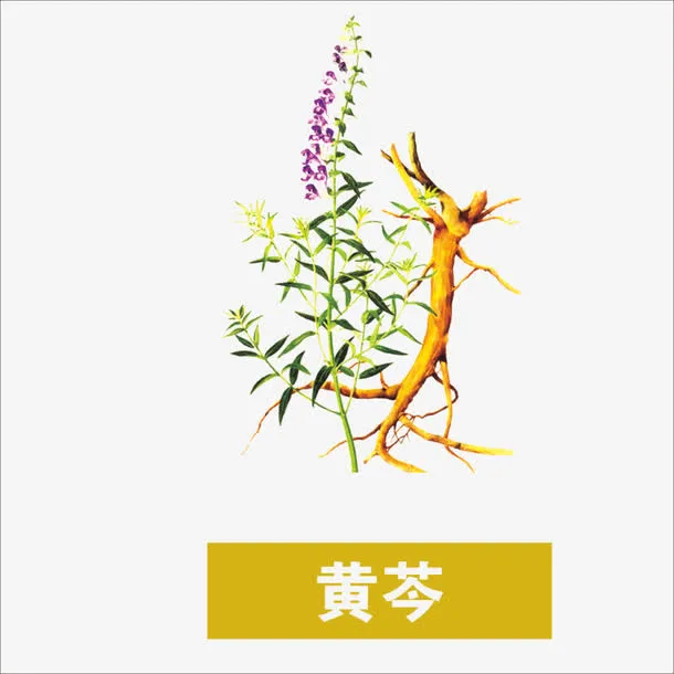草药免抠
