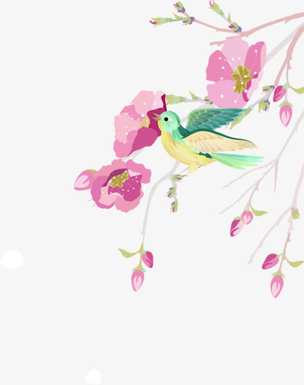 彩色手绘春天树枝小鸟免抠