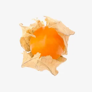 开皮的灯笼果免抠