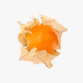 开皮的灯笼果免抠