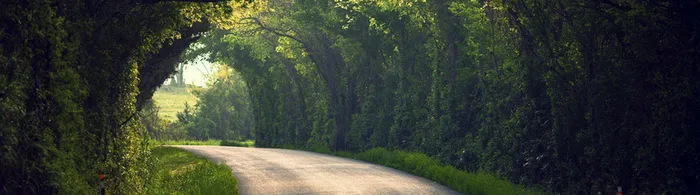 绿荫公路banner创意设计高清