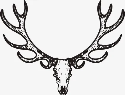 素描鹿头免抠