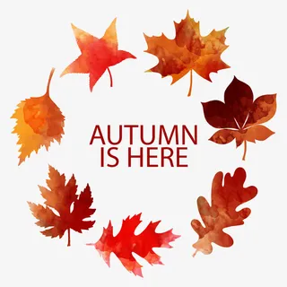 矢量秋天来了免抠