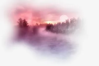 装饰图片植物花草素材免抠