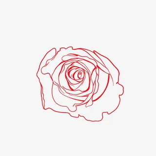 红色玫瑰免抠 红色玫瑰免抠