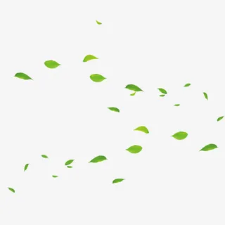 漂浮树叶免抠