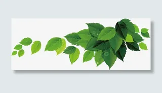 春天白色踏青绿叶免抠