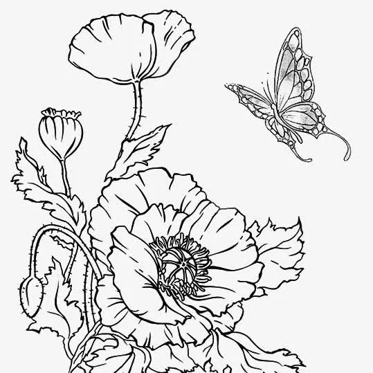 蝴蝶采花简笔画PNG免抠