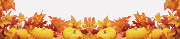 秋季简约枫叶背景banner