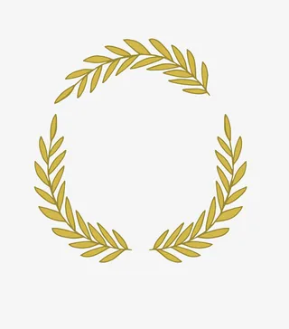 可爱小清新装饰海报装饰树枝圆环免抠