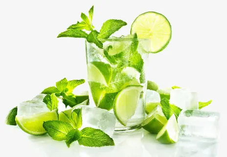 柠檬薄荷免抠漂浮叶子元素 柠檬薄荷免抠漂浮叶子元素