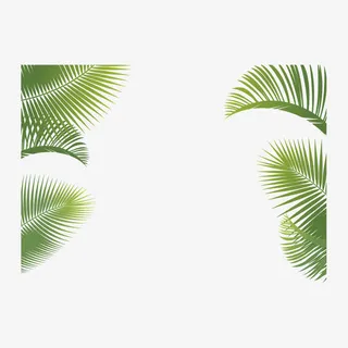 棕榈叶免抠