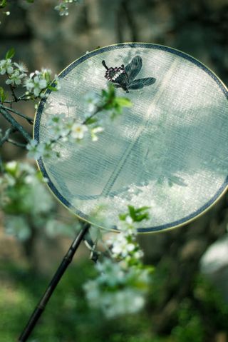 清新森林系树叶壁纸免抠