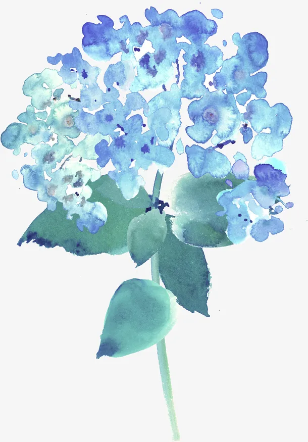 水彩植物免抠