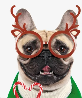 可爱沙皮狗免抠