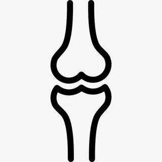 球的膝图标免抠