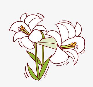 小清新可爱百合花手绘免抠